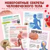 Книга: Энциклопедия с прозрачными страницами "Моё тело" 32 стр SIM-7041125