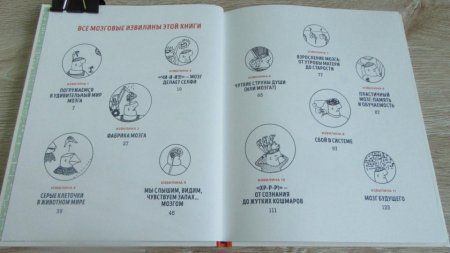 Книга: В моей голове. Как устроен мозг и зачем он нам нужен MIF-462736 Книга: В моей голове. Как устроен мозг и зачем он нам нужен MIF-462736