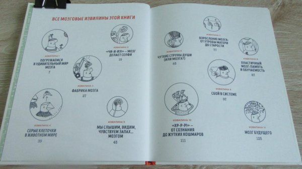 Книга: В моей голове. Как устроен мозг и зачем он нам нужен MIF-462736