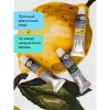 Краски акриловые ГАММА Студия 12 цв туба 18 мл RE-160320211