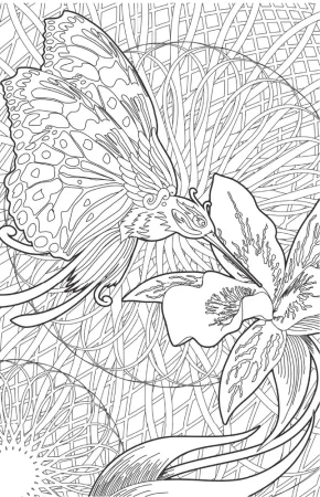 Книга: Зоополис. Мини-раскраска-антистресс для творчества и вдохновения. EKS-892303