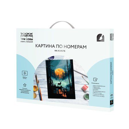 Картина по номерам на холсте ТРИ СОВЫ "Лунная ночь в лесу" 40 x 50 см, краски и кисть RE-KX4050_40009