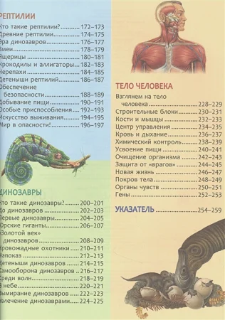 Книга: Большая энциклопедия знаний (нов. ) ROS-39033