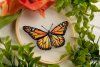 Набор для вышивания PANNA Живая картина. Бабочка. Монарх" 13 х 13 см JK-2234