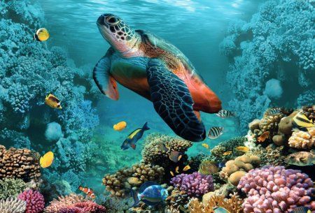 Стерео-пазл Prime 3D "Большая черепаха" 48 деталей, 4+ JZL-12009