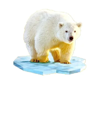 Контурный пазл Jazzle "Белый медведь" 100 элементов, 5+ JZL-88655