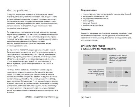 Книга: Классическая нумерология. Расшифровка квадрата Пифагора с комбинациями и дополнительными числами EKS-100971