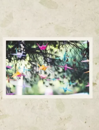 Книга: Wabi Sabi. Японские секреты истинного счастья в неидеальном мире EKS-998036