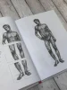 Книга: База академического рисунка. Фигура человека, голова, портрет и капитель EKS-515140