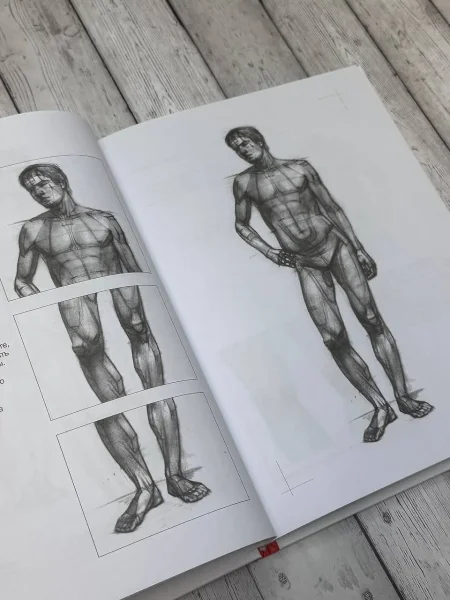 Книга: База академического рисунка. Фигура человека, голова, портрет и капитель EKS-515140