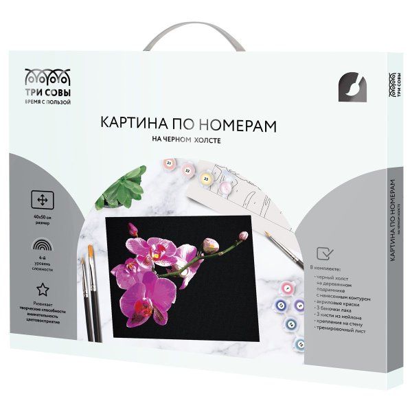 Картина по номерам на черном холсте ТРИ СОВЫ "Цветы орхидеи" 40 x 50 см, краски и кисть RE-КХп_48159