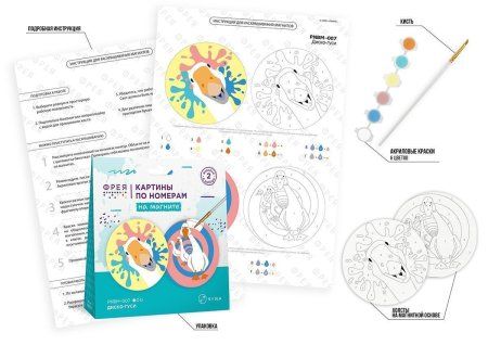 Набор для раскрашивания по номерам (на магните) ФРЕЯ 9 х 9 см "Диско-гуси" PNBM-007