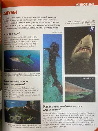 Книга: Большая универсальная энциклопедия ROS-39028