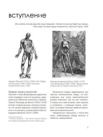 Книга: МОРФО. Анатомия для художников EKS-161132