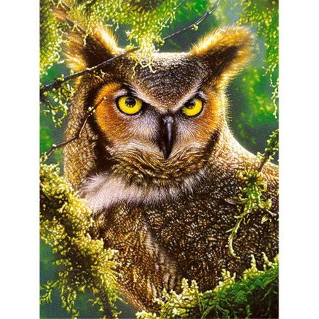 Пазл Castorland 300 Сова. Наблюдение B-030231 Пазл Castorland 300 Сова. Наблюдение B-030231