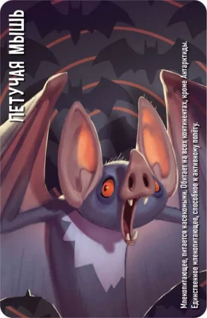 Настольная игра: Similo: Зоопарк MAG915593