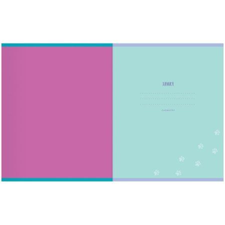 Тетрадь предметная 48л. MESHU "Ученый MISHKA" - Русский язык, матовая ламинация, выборочный УФ-лак, тиснение фольгой RE-MS_47951