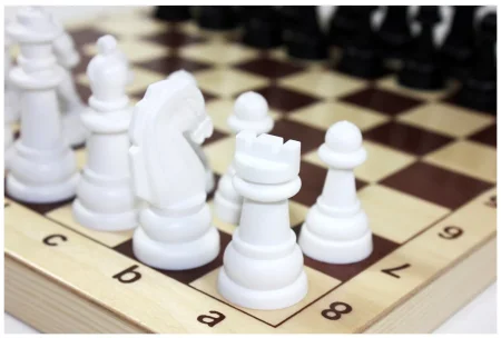 Набор игр 2 в 1 Десятое королевство "Шахматы и шашки" пластиковые в дер.упаковке 29 x 29 см MAG03879