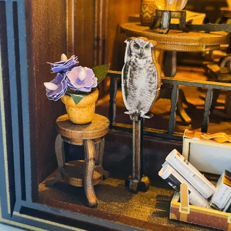 Румбокс: Комната колдуньи (букнук) HD-M2311