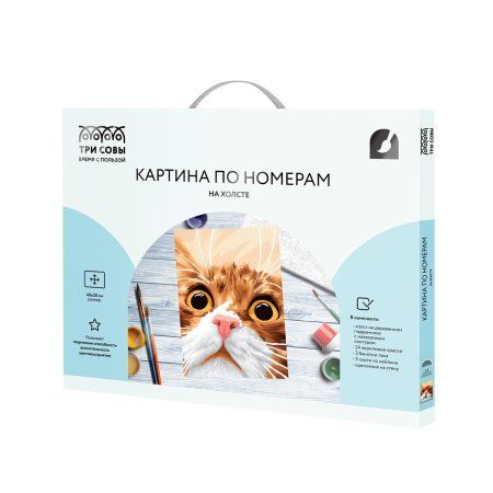Картина по номерам на холсте ТРИ СОВЫ "Усатый-полосатый" 40 x 50 см, краски и кисть RE-KX4050_40003