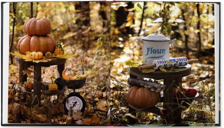 Книга: Еда без забот. 15 минут и готово! EKS-010249