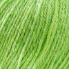 Пряжа Пехорская ПТ "Детский каприз" 50% мериносовая шерсть, 50% микрофибра 1 х 50 г 225 м №041 салатовый PEH-DET-CAP-041