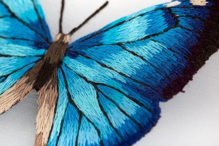 Набор для вышивания PANNA Живая картина. Бабочка. Морфо адонис 13 х 13 см JK-2235