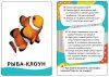 Разв.карточки. Живой мир (0+) ROS-21010