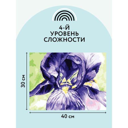 Картина по номерам на холсте ТРИ СОВЫ "Ирис" 30 x 40 см с акриловыми красками и кистями RE-КХ_44105