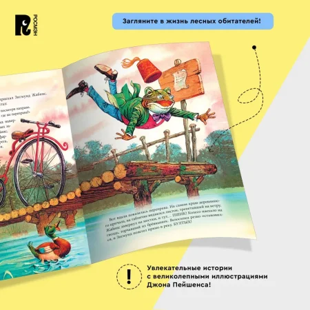 Книга: Пейшенс Дж. Приключения на воздушном шаре ROS-41009