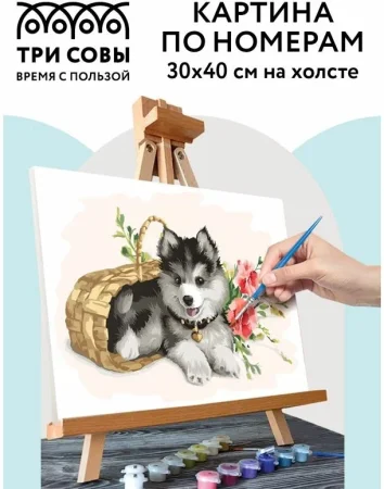 Картина по номерам на холсте ТРИ СОВЫ "Щенок хаски" 30 x 40 см с акриловыми красками и кистями RE-КХ_44143