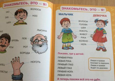 Книга: Первый учебник малыша ROS-35922