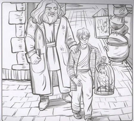 Книга: Раскрашиваем мир Гарри Поттера. Волшебная раскраска по мотивам любимой вселенной EKS-819613