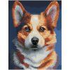 Алмазная мозаика ТРИ СОВЫ "Корги" 40 x 50 см, холст на подрамнике RE-АМП4050_52971