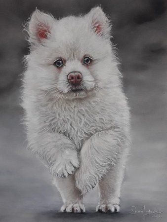 Бумага для пастели CLAIREFONTAINE Pastelmat 360 г/м2 A3 1 л, темно-зеленый (dark green) RH-696168C