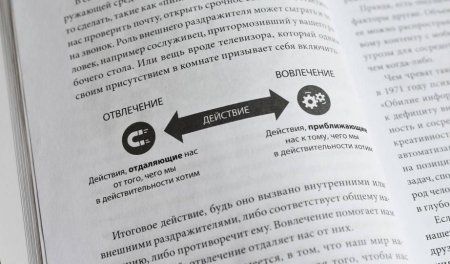 Книга: Неотвлекаемые. Как управлять своим вниманием и жизнью MIF-469353 Книга: Неотвлекаемые. Как управлять своим вниманием и жизнью MIF-469353