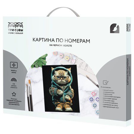 Картина по номерам на черном холсте ТРИ СОВЫ "Стильный кот" 40 x 50 см, краски и кисть RE-КХп_48163