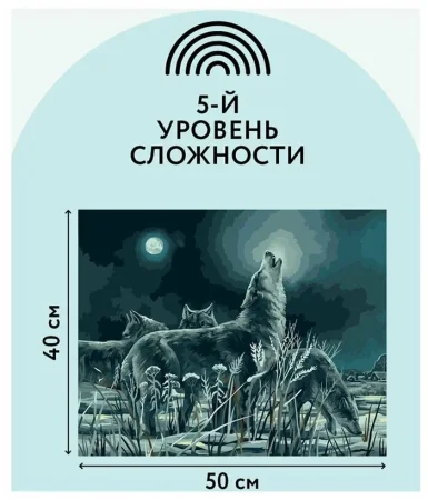 Картина по номерам на холсте ТРИ СОВЫ "Ночная охота" 40 x 50 см с акриловыми красками и кистями RE-КХ_44164