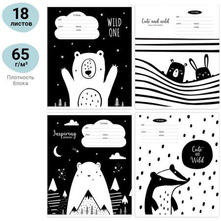 Тетрадь 18л. A5 клетка MESHU "Black&white" RE-MS_43310