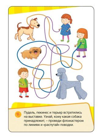 Разв.карточки. Развиваем логику, внимание, память (Готовимся к школе 5+) ROS-35799