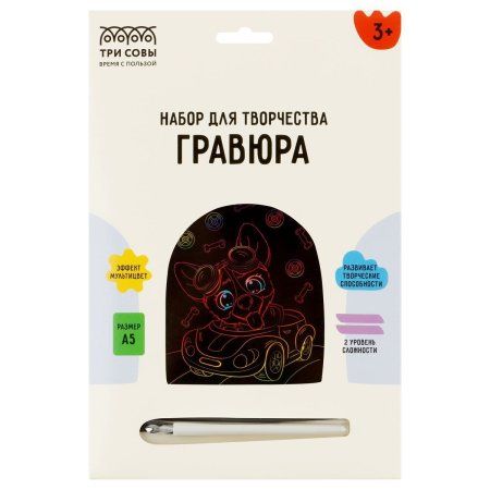 Гравюра с мультицветной основой ТРИ СОВЫ А5 "Гонщик" RE-GA5_49954