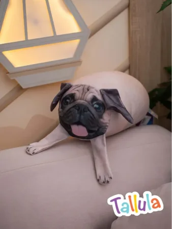 Игрушка-антистресс мягкая Tallula Мопс, 30 см UT-203001s