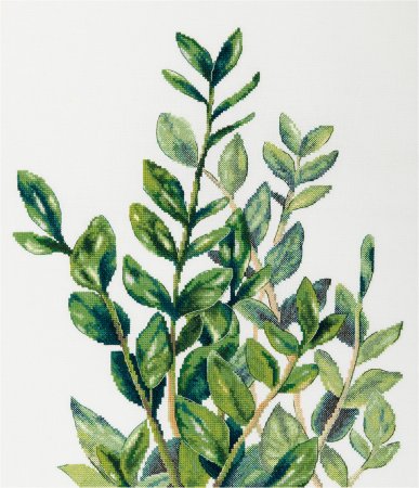 Набор для вышивания PANNA Замиокулькас 35 х 43.5 см C-7454