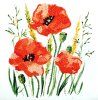 Кристальная (алмазная) мозаика ФРЕЯ постер "Красные маки" 20 х 20 см ALBP-266