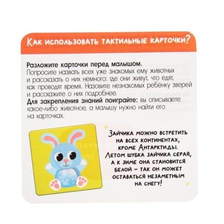 Развивающий набор "Животные леса" тактильные карточки SIM-7534410