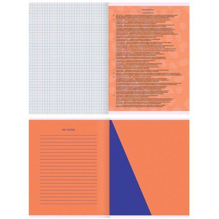 Тетрадь предметная 48л. MESHU "Bright splash" - Обществознание, матовая ламинация, выборочный УФ-лак RE-MS_42559