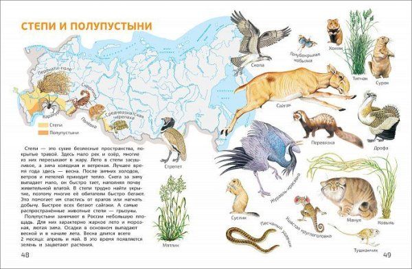 Книга: Мир и человек. Мой любимый географический атлас ROS-35309