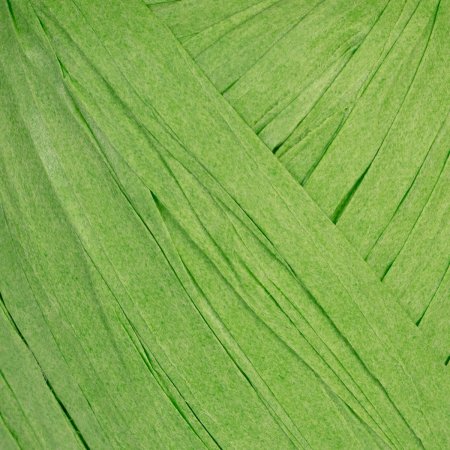 Рафия бумажная Blumentag 20.5 ± 5 г 30 м 05 зеленый PARF-8-05
