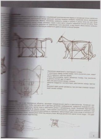 Книга Э: Кошки: Рисуем по сеткам 978-5-04-097529-7