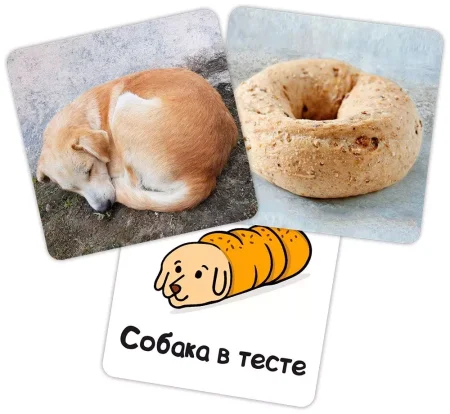 Настольная игра: Бобик или бублик? MAG915436